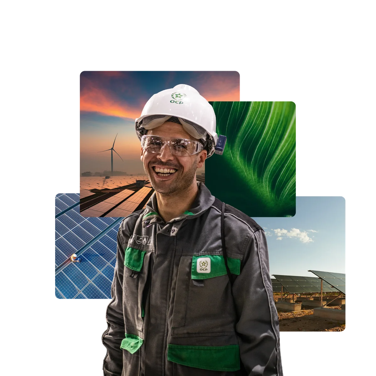 Make your mark on the world – global impact and food security