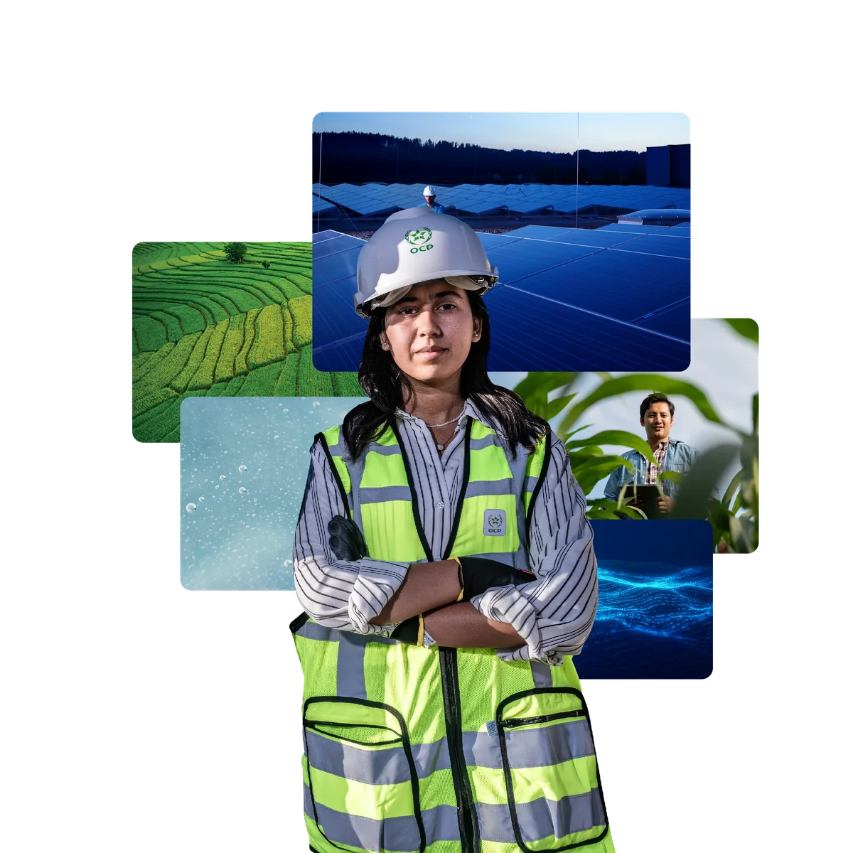 Diversity and inclusion – celebrating our differences, united in purpose