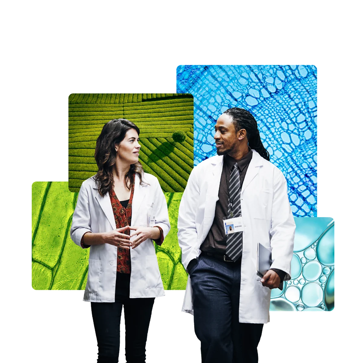 Experimental culture – innovation through bold experimentation